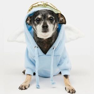 Angel pet hoodie